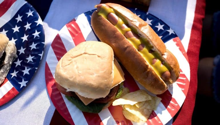 hotdog and hamburger on flag plate - avoid food poisoning