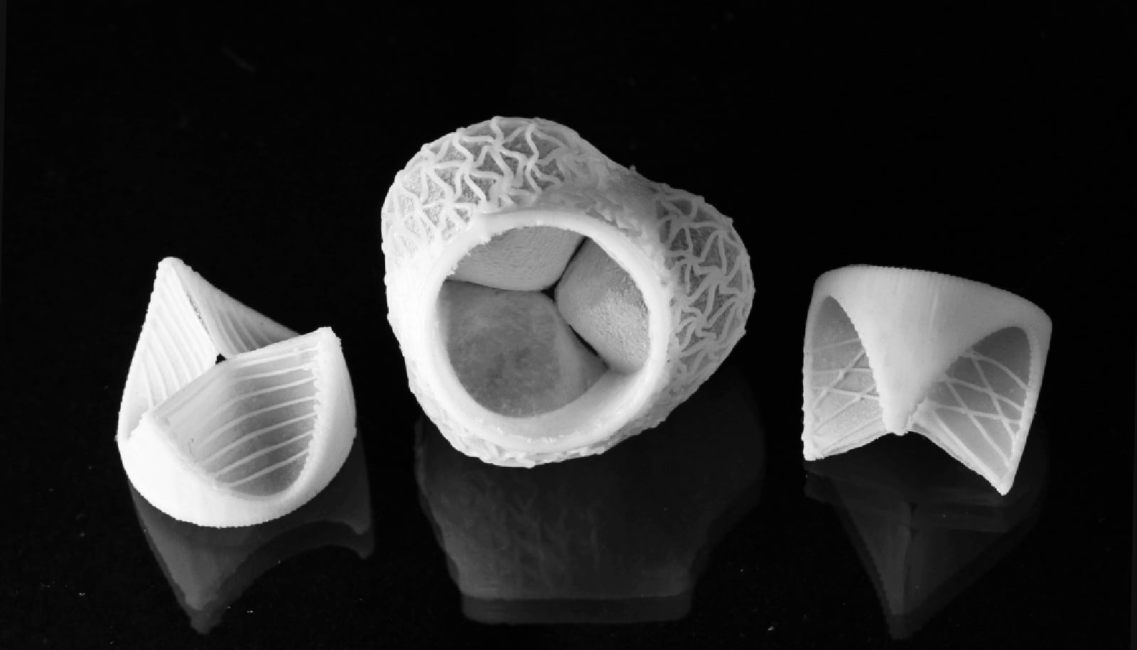 Custom 3d Printed Heart Valves Fit Perfectly Futurity