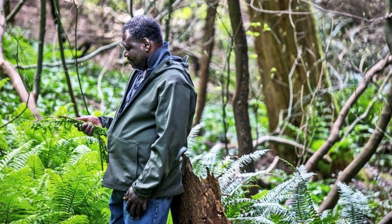 A man examines a fern and other plants within Washington Park Arboretum (city planners concept)