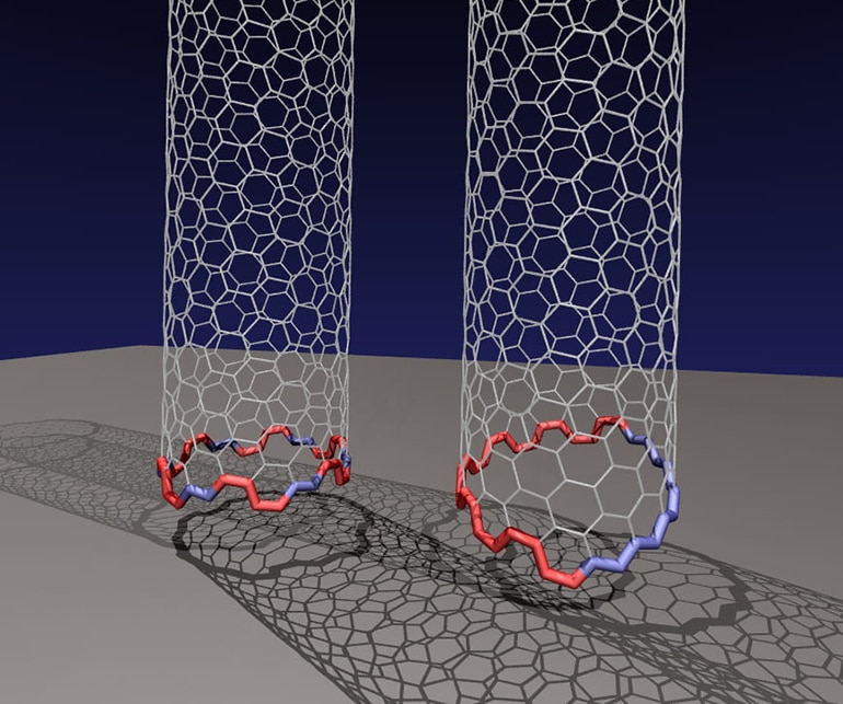 two nanotubes with different edges on the bottom