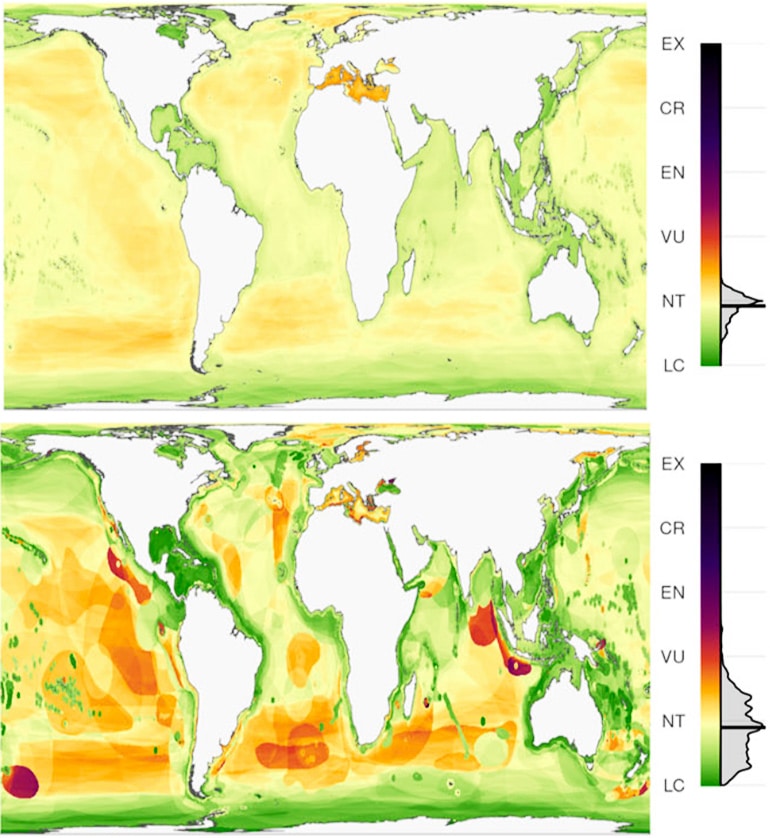 Ocean biodiversity risk map