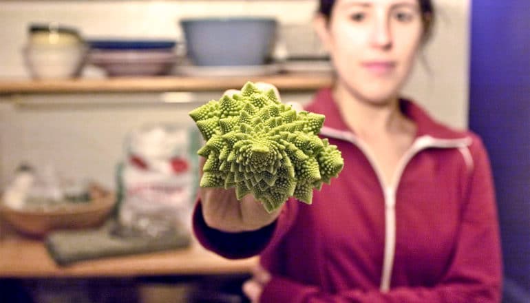 romanesco in hand (proteins concept)