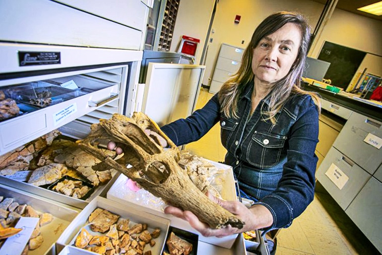 Maureen O’Leary holds a skull of a 65 million-year-old crocodylomorph