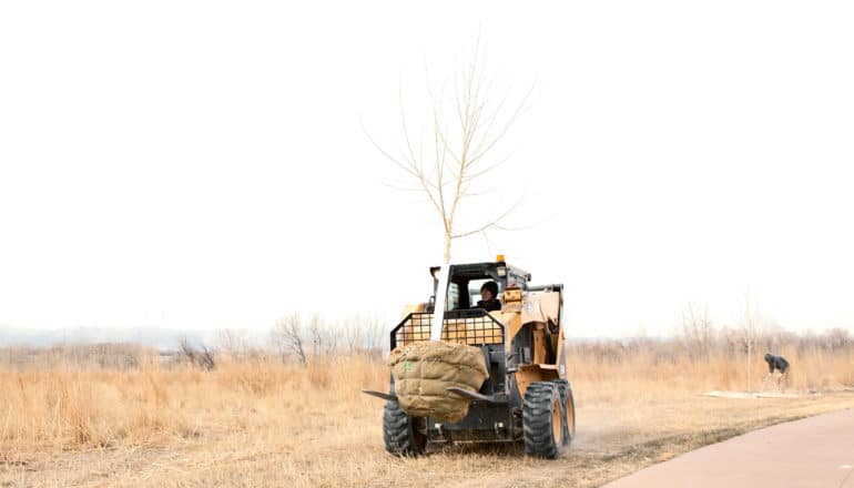 tractor carries tree to be planted