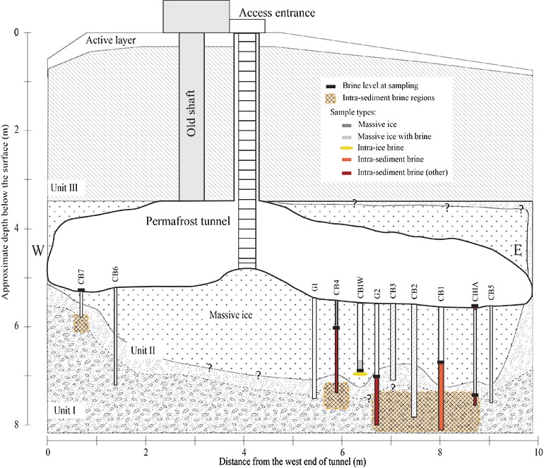 A schematic of the study site