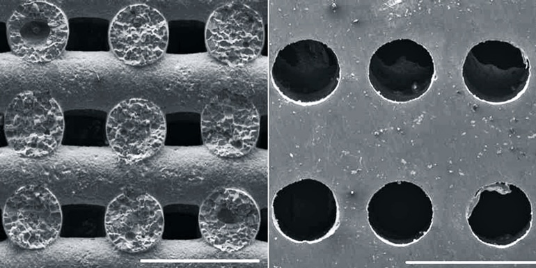 The salt structure looks like stacked bars of salt, alternating in direction, while the magnesium implant shows uniform pores in a flat surface