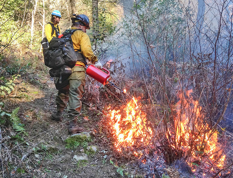 two firefighters, one in foreground uses red canister device to set fire to a shrub