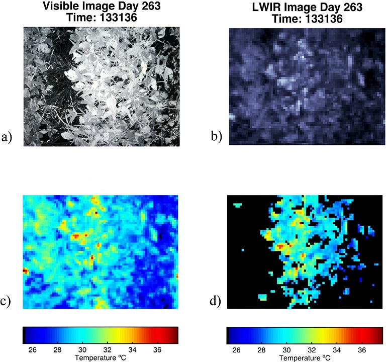 An image from the digital camera is combined with one from the miniature infrared camera to form a complete picture of the temperature of an area of crops.