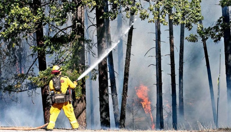 A firefighter sprays water into a line of trees engulfed in thick gray smoke as part of the forest fire is visible through the trees.