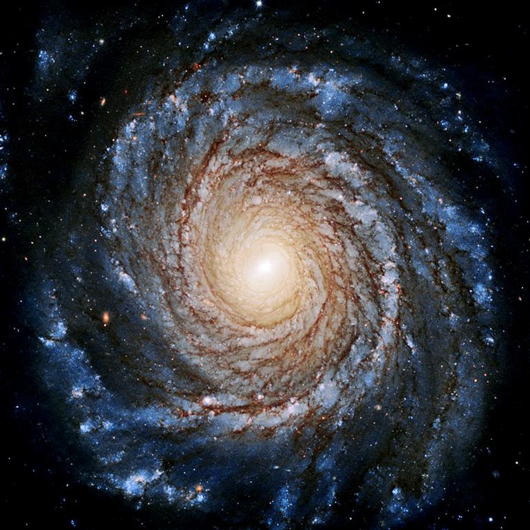 A cloudy swirl filled with stars surrounds a bright center of the galaxy against the black background of space