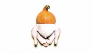 half a pumpkin connects with the bottom half of a raw chicken