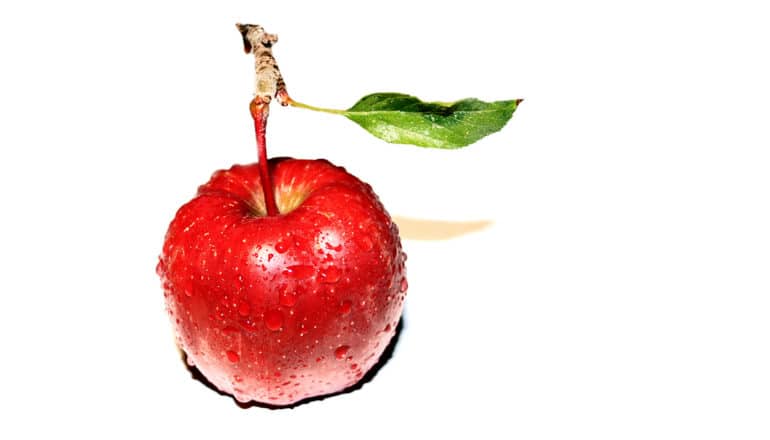 dewy red apple with leaf on bright white background