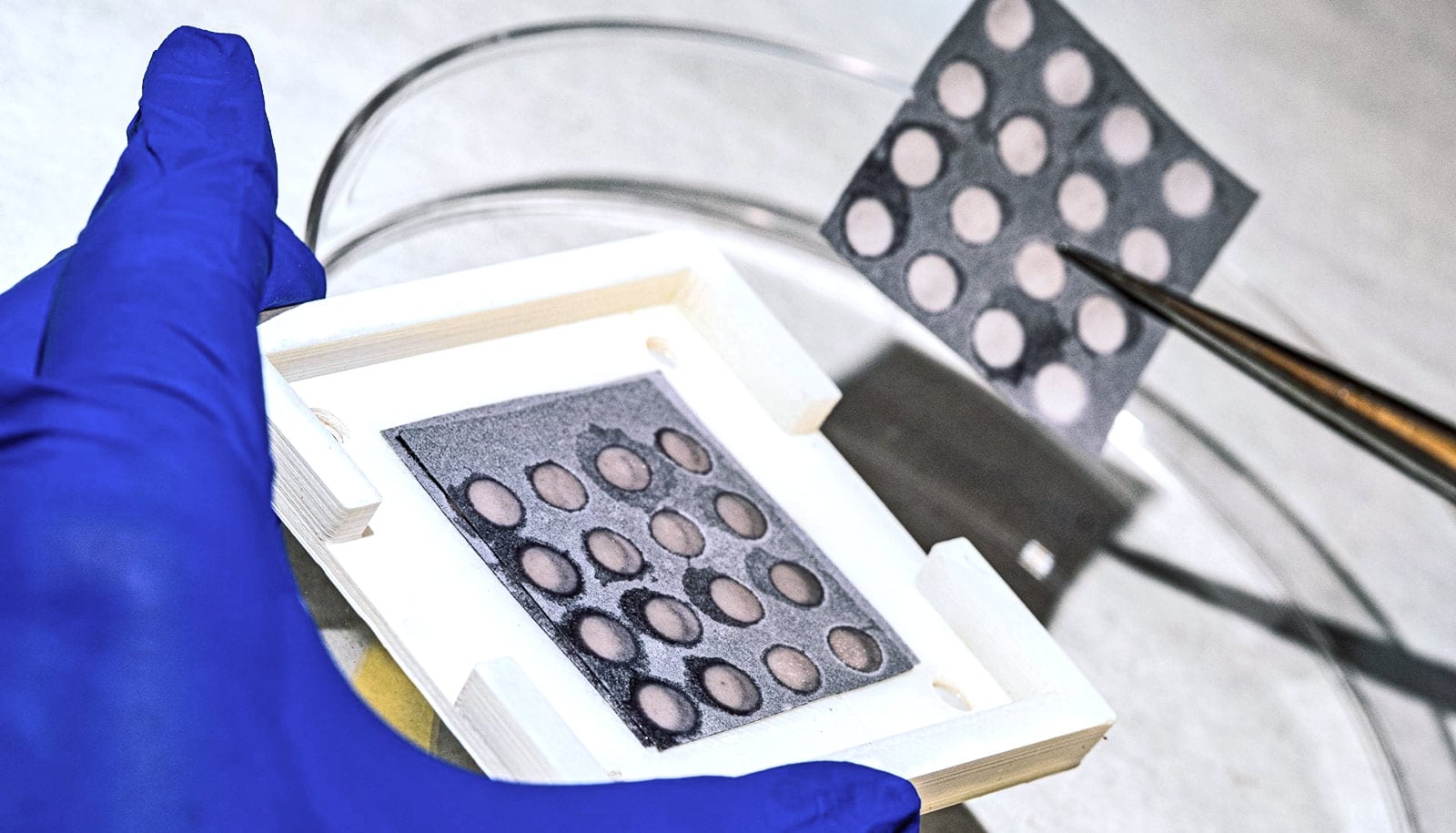 Paper device shows rogue collagen's role in heart disease Futurity