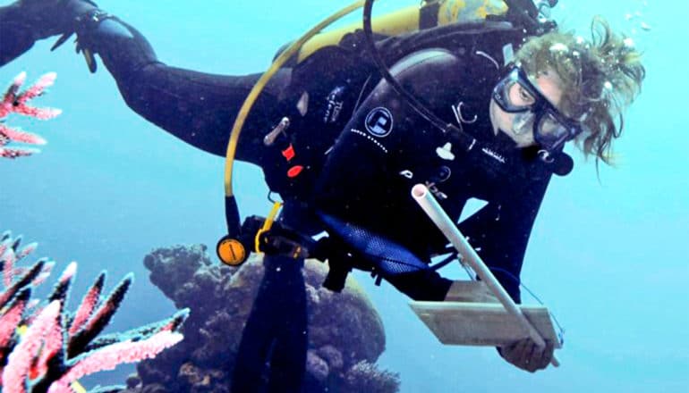 The image shows researcher Joleah Lamb diving in scuba gear to examine coral health. (corals concept)