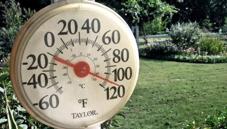 The image shows a thermometer in a yard showing a temperature around 110 degrees Fahrenheit. (Pliocene concept)