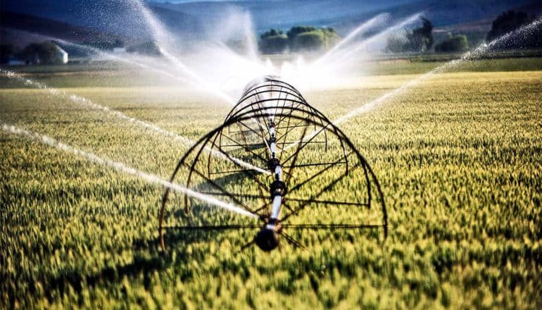 The image shows an irrigation system watering a field of crops.