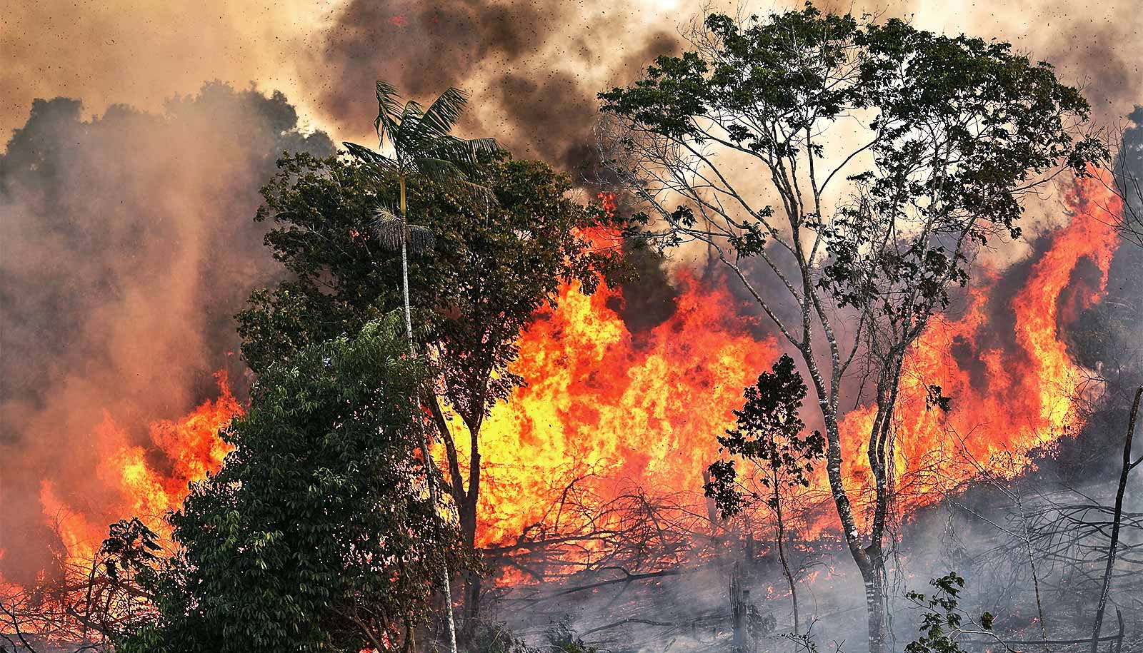 amazon fire amazon fire