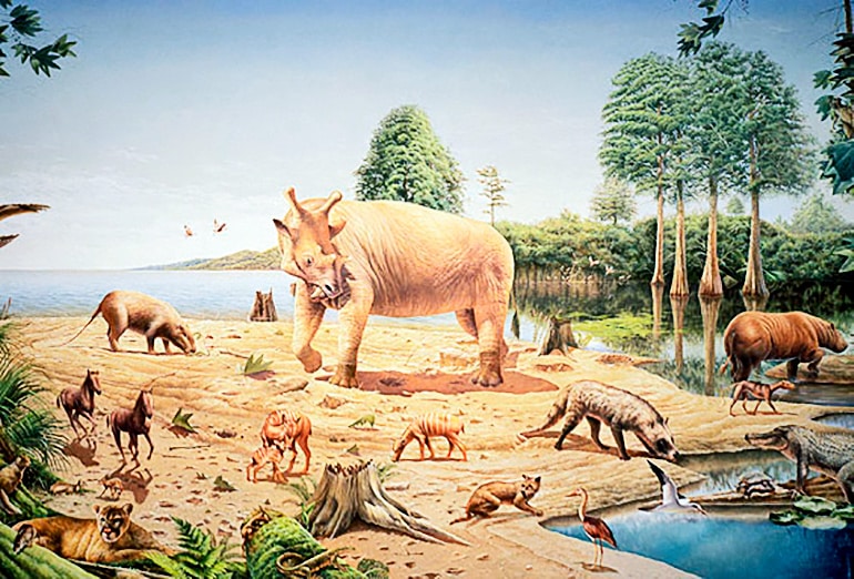 Illustrated animals big and small roam around a coastal area, with a large horned animal at the center of the group