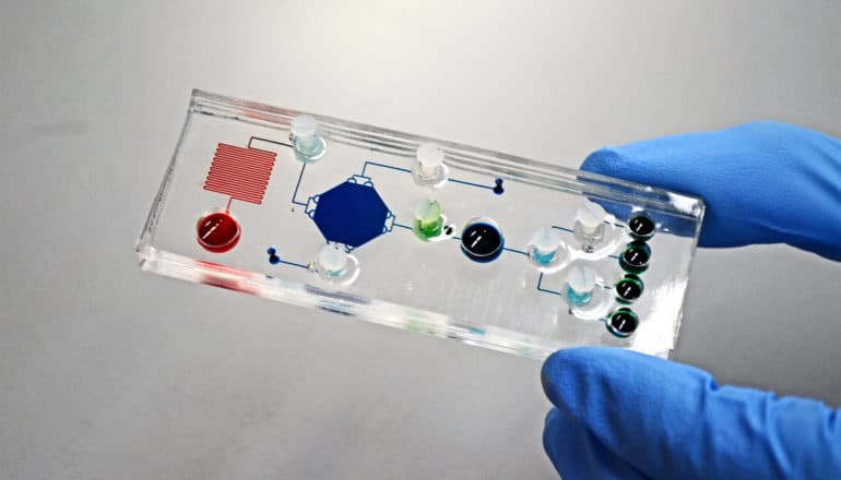 A gloved researcher holds up the clear chip, which has red, blue, green, and black wells with lines running between them.