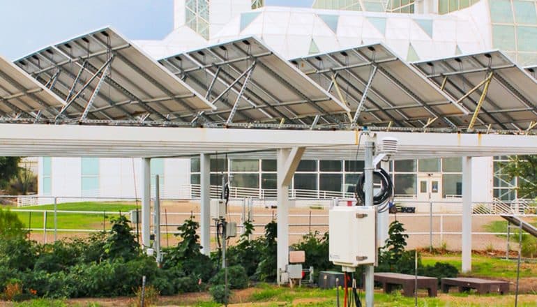 Some green crops sit in the shade of a row of white solar panels