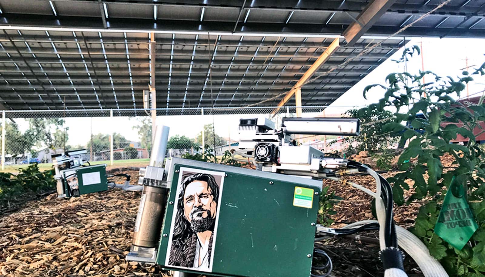 In the shade of the solar panels, a green device used for testing has a picture of actor Jeff Daniels as his character from the Big Lebowski, which sits next to some small crops 