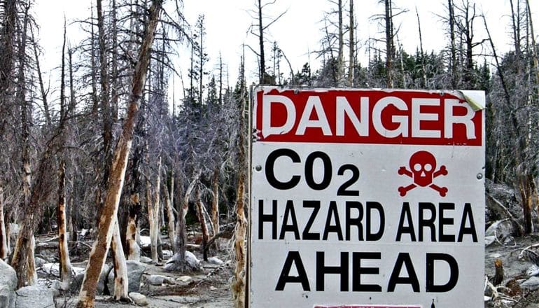 A sign near a dead forest reads "Danger: CO2 hazard area ahead" with a skull and crossbones.