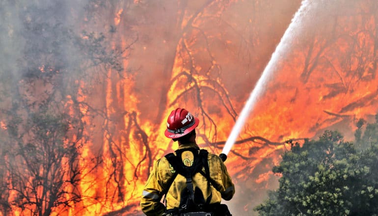 A firefighter sprays a water hose into a forest engulfed in wildfire