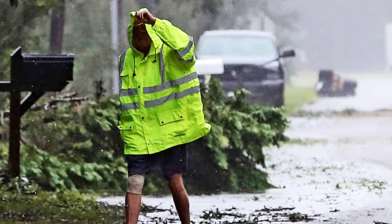 person in yellow reflective jacket walks in wind near downed tree