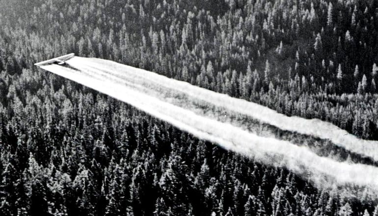 A white trail of DDT sprays from the back of a plane flying over a forest