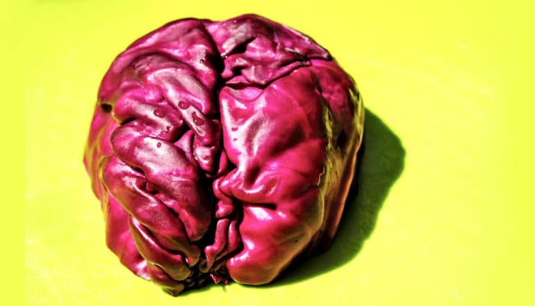 cabbage shaped like a brain