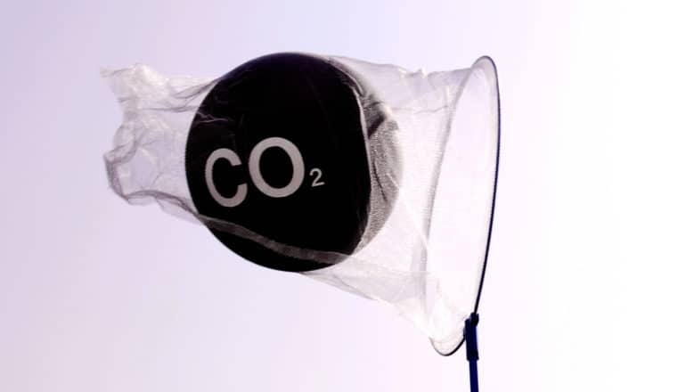 A net holds a black ball labeled "CO2" against a white sky