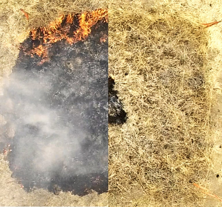 The untreated patch on the left is heavily burned, whereas the treated patch on the right is largely untouched by fire