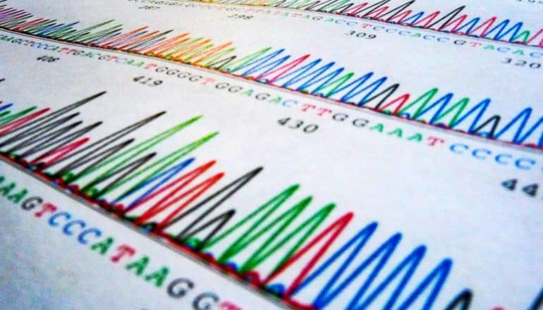 DNA bases (GTCA, etc) and wavy lines