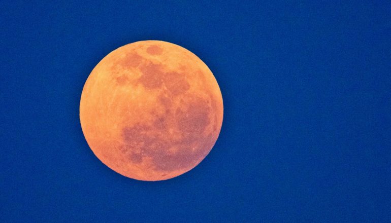 An orange-looking moon hangs in a dark blue night sky