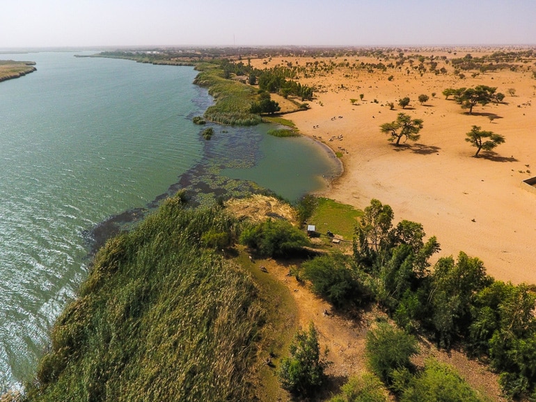 An aerial shot of a river with a dark patch of vegetation against a red sandy shore