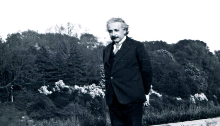 Albert Einstein walks near a line of bushes