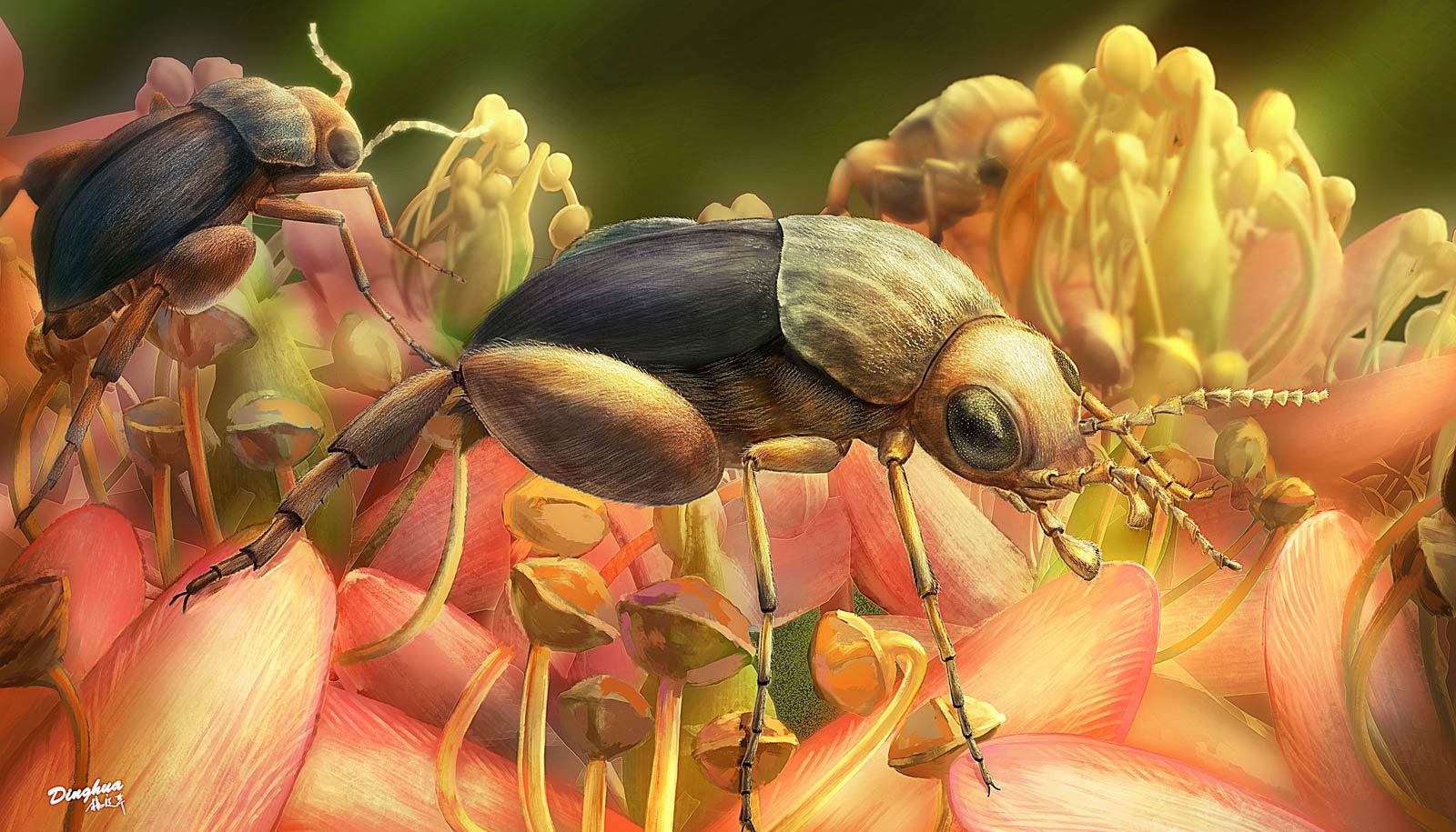 two beetles on flowers