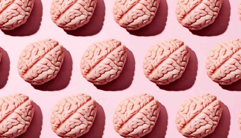 Rows of brains sit on a pink background
