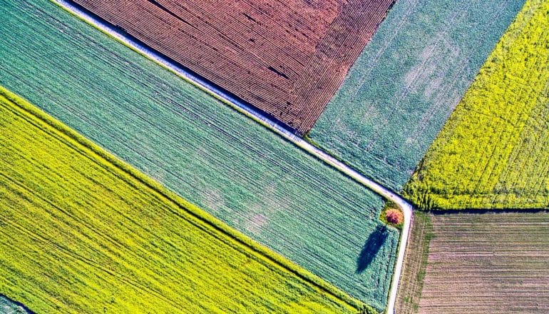 intersecting fields from above