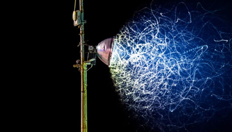 motion lines of insects swarming in light from street lamp