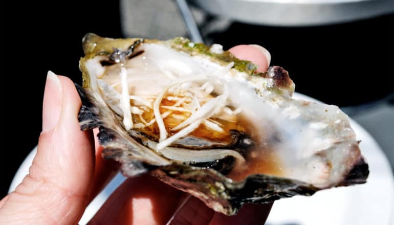 A person holds an oyster between their thumb and forefinger