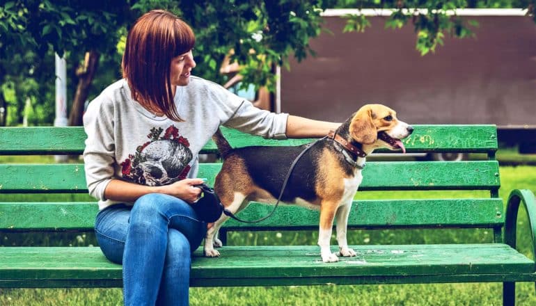 A woman in a sweatshirt and blue jeans sits on a green bench holding a dog leash while her dog looks off to the right