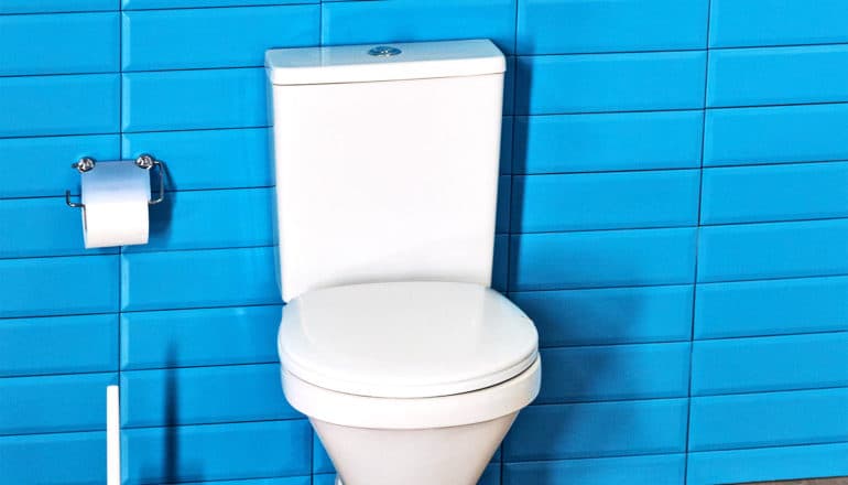 A white toilet sits against a blue tile wall