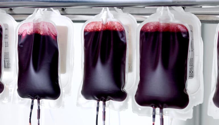 bags of donor blood