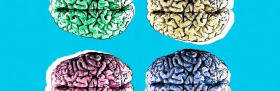 4 differently colored illustrations of brains sit on blue background