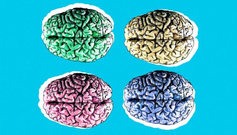 4 differently colored illustrations of brains sit on blue background