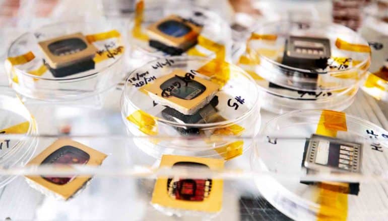 The solar cells look like small gold and black squares sitting in several clear plastic petri dishes