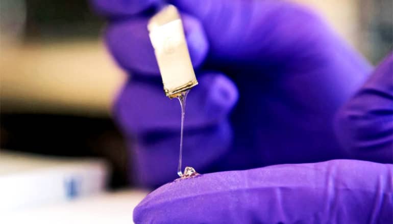 A researcher drips the yellow-tinted adhesive onto a index finger