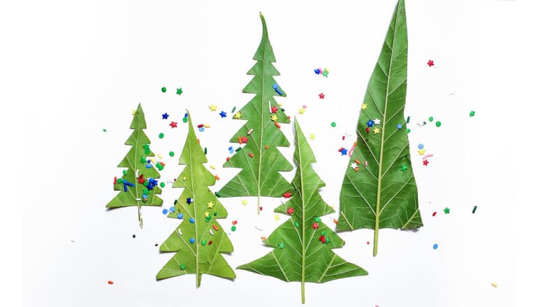 christmas trees cut from leaves with confetti