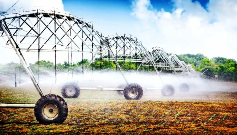 An irrigation rig sprays water over a farm field, with plants just starting to grow